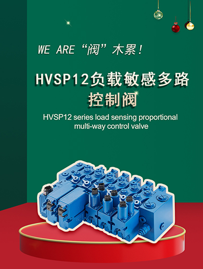 HVSP12-3.jpg