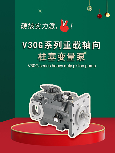 V30G-3-2.jpg